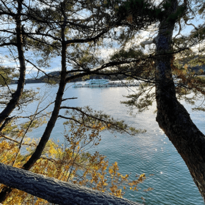 願いがもしも叶うならのジャケット写真