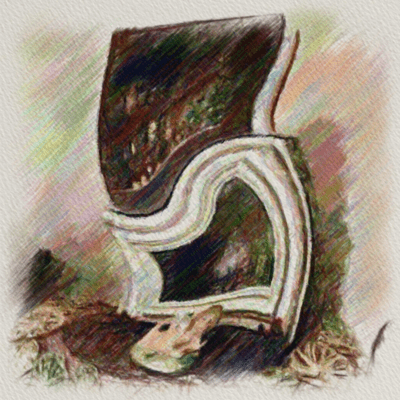 Re:Round! Front Cover