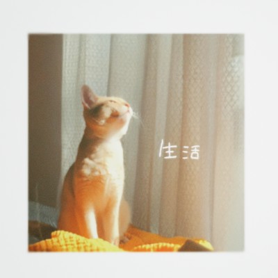 生活のジャケット写真