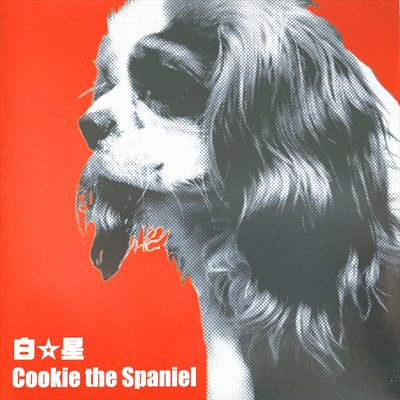 Cookie The Spaniel Front Cover
