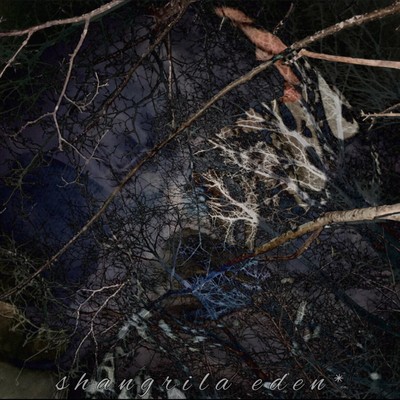 Shangrila Edenのジャケット写真