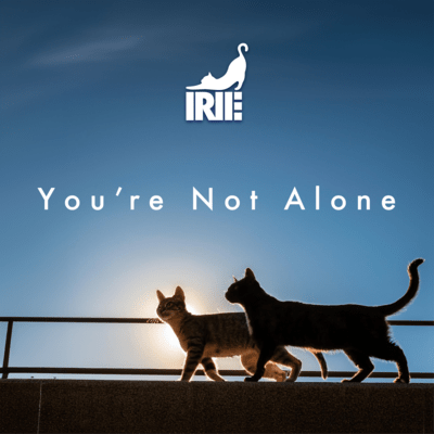 You are not alone (feat. YURI & 岸 洋佑)のジャケット写真