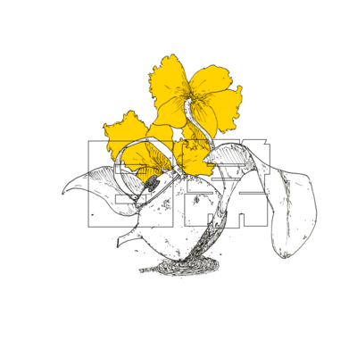 日常のジャケット写真