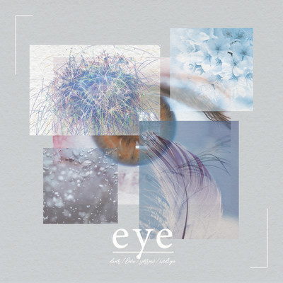 eye Front Cover