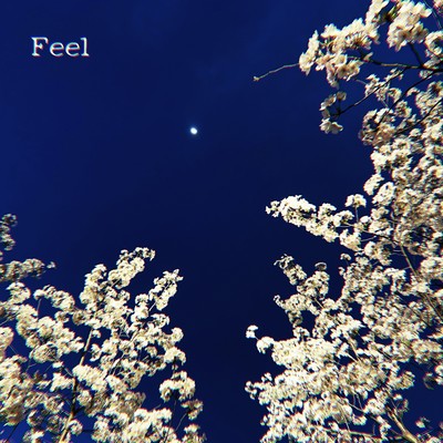 Feel Front Cover