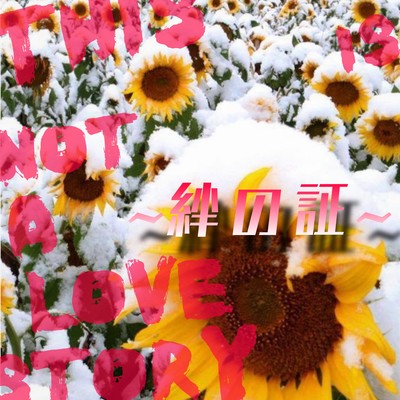 絆の証のジャケット写真