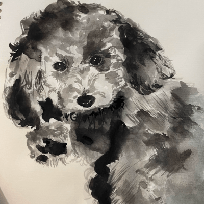 KOSHINCHU Front Cover