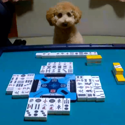 Mahjong Is Difficult Front Cover