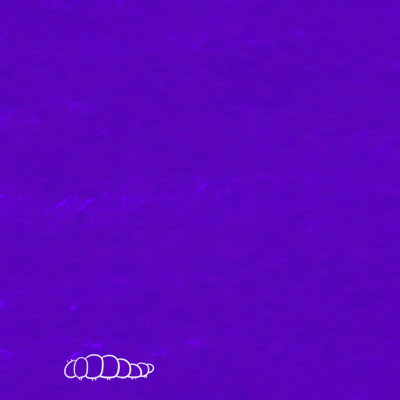 Anarchy In the Brainのジャケット写真