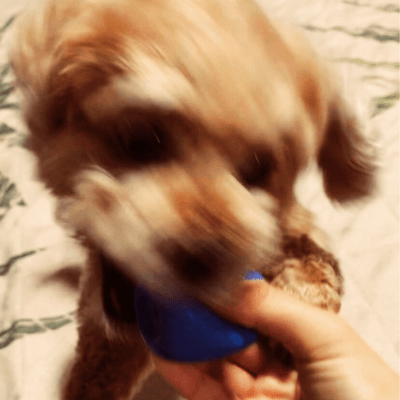 音のしないボールのジャケット写真