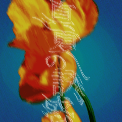 真夏の誘惑のジャケット写真