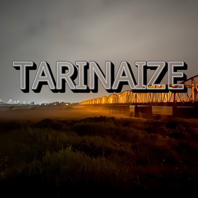 TARINAIZEのジャケット写真