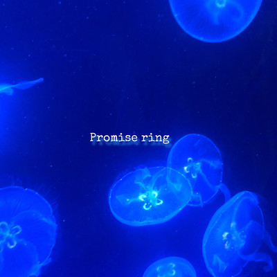 Promise ring Front Cover