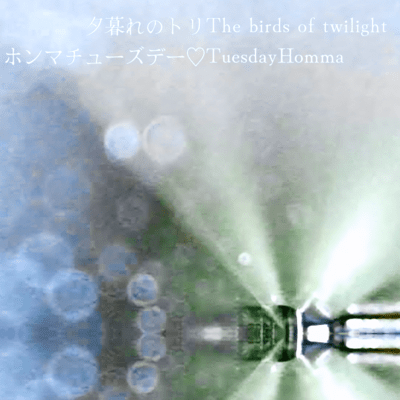 birds of twilight Front Cover