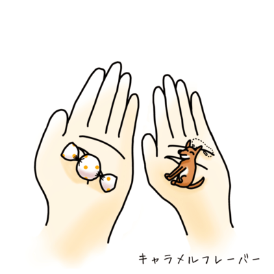 キャラメルフレーバーのジャケット写真
