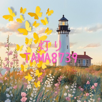 Light Front Cover