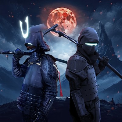 SAMURAI-NINJA Second Front Cover