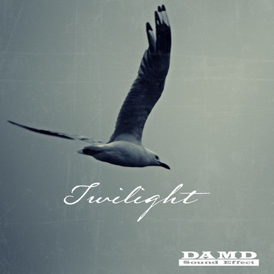 Twilight Front Cover