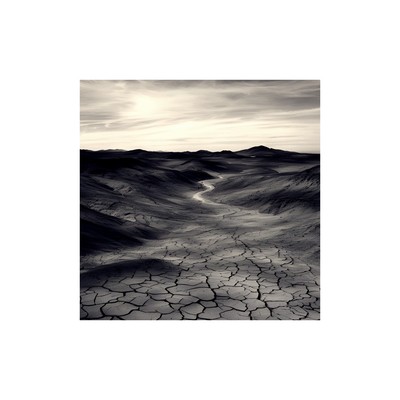 不毛地帯のジャケット写真