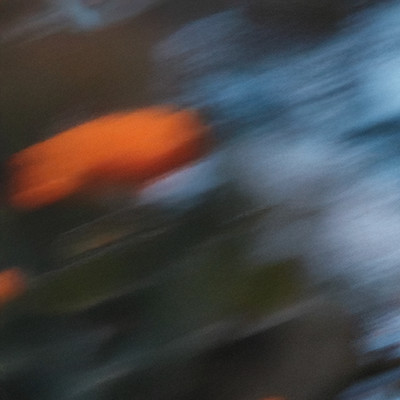 Warm (feat. JIN PARK) Front Cover