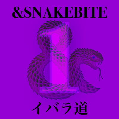 イバラ道のジャケット写真