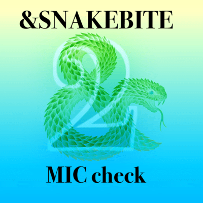MIC checkのジャケット写真