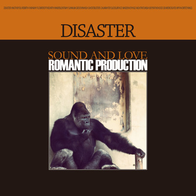 DISASTERのジャケット写真