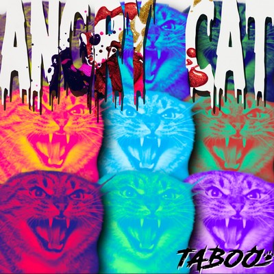 ANGRY CAT Front Cover