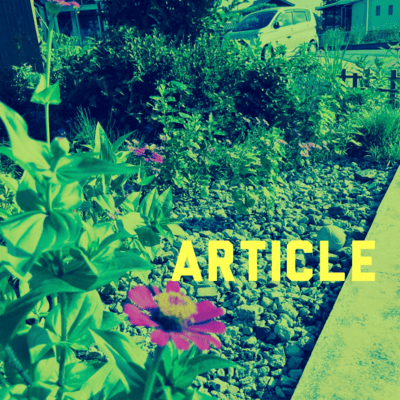 ARTICLE Front Cover