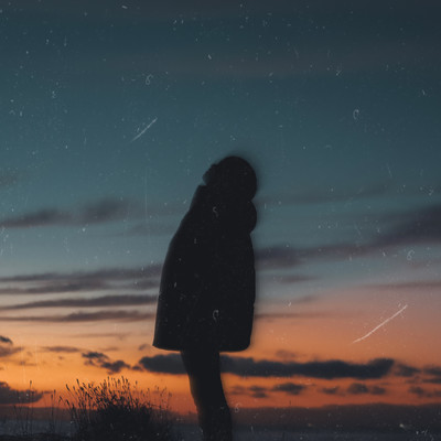 一眼レフのジャケット写真