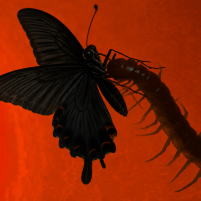 Amen / Thin Ice Front Cover