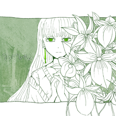 Angraecum Front Cover