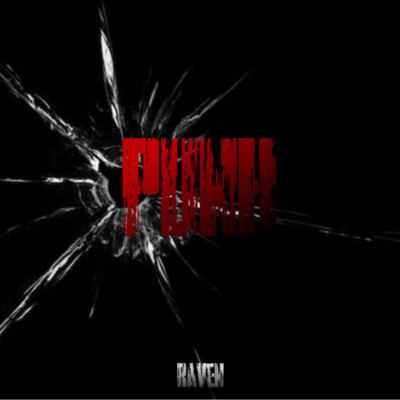 Punkのジャケット写真