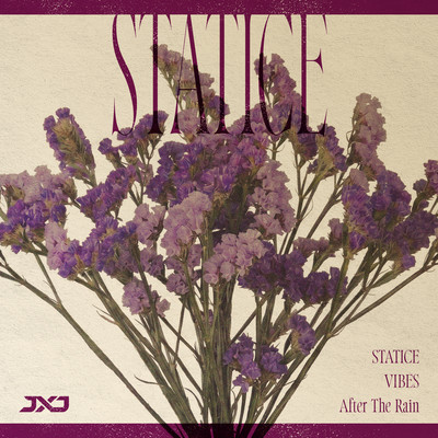 STATICE Front Cover
