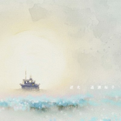 Backlight Front Cover