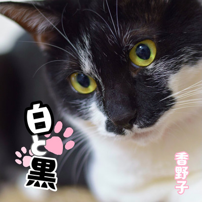 "Shiro"to"Kuro" Front Cover