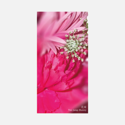 花束のジャケット写真