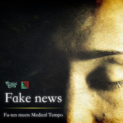 Fake news (feat. MedicalTempo) Front Cover