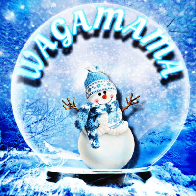 WAGAMAMAのジャケット写真