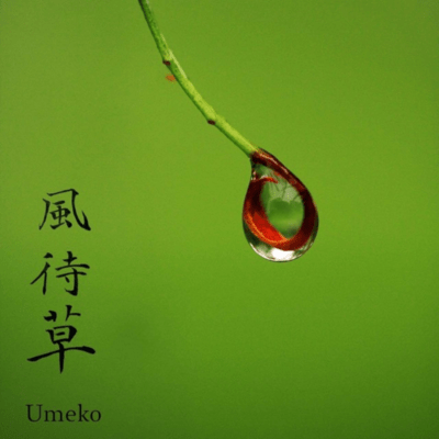 Kaze-machi-gusa Front Cover