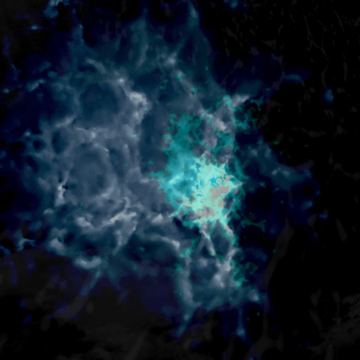 『後日』のジャケット写真