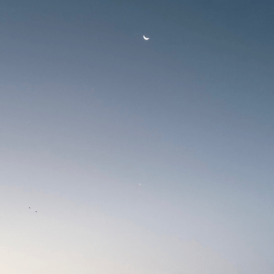 バグのジャケット写真