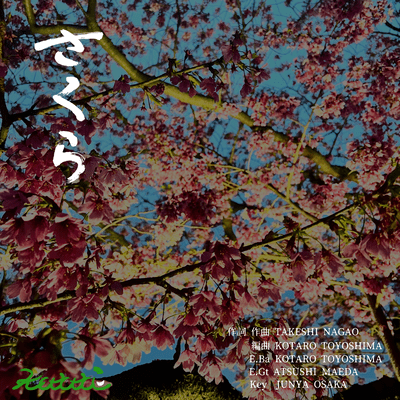 Sakura Front Cover