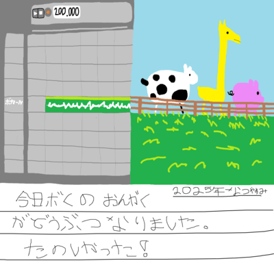 Zoo Front Cover