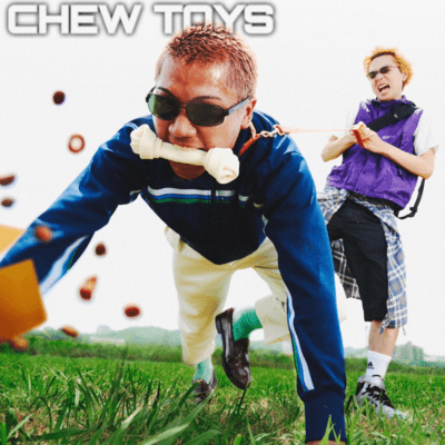 CHEW TOYS Front Cover