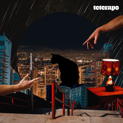 abandoned cat Front Cover