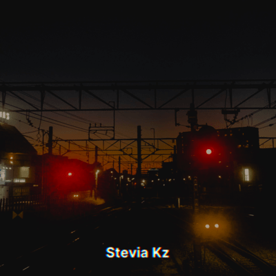 Flow of Time Front Cover