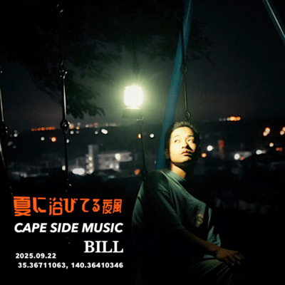 the summer night breeze Front Cover