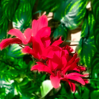 lonely kuristyle Front Cover