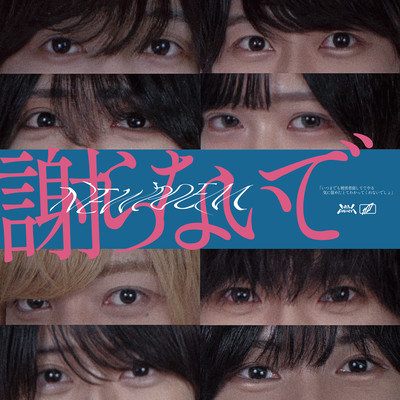 謝らないでのジャケット写真